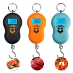 High Quality Portable Digital Weight Luggage Scale